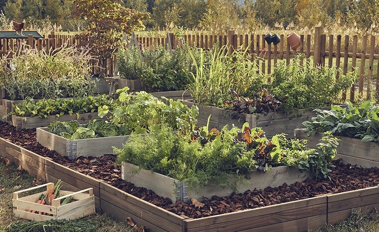 Astuces Leroy Merlin eau jardin