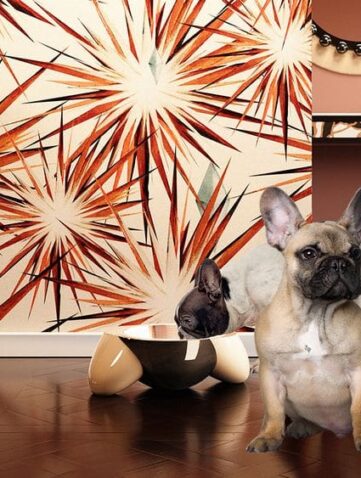 accessoires déco animaux chiens