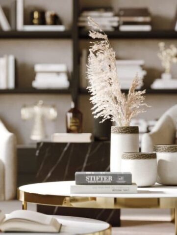 fauteuils et bibliothèque espace lecture chez soi