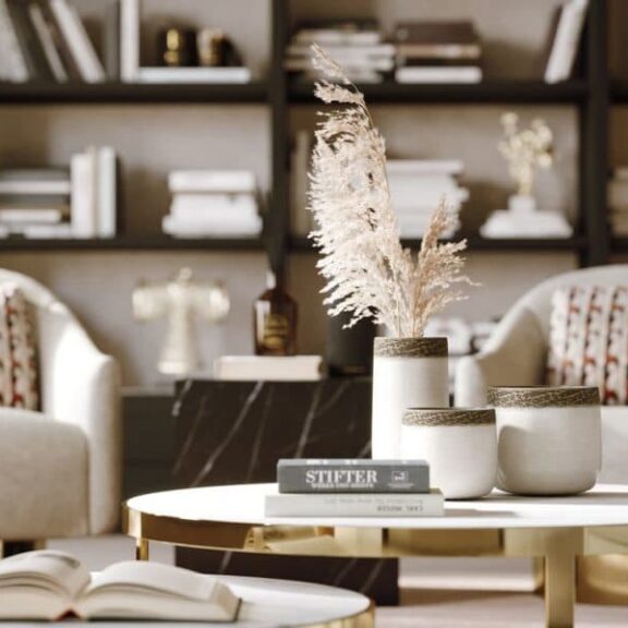 fauteuils et bibliothèque espace lecture chez soi