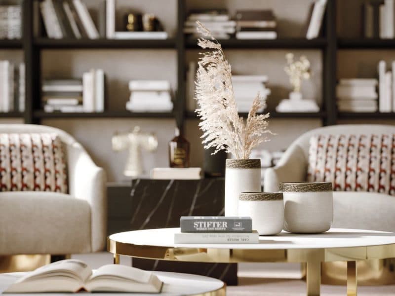 fauteuils et bibliothèque espace lecture chez soi