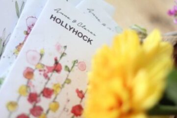 sachet de graines à semer