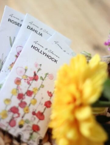 sachet de graines à semer