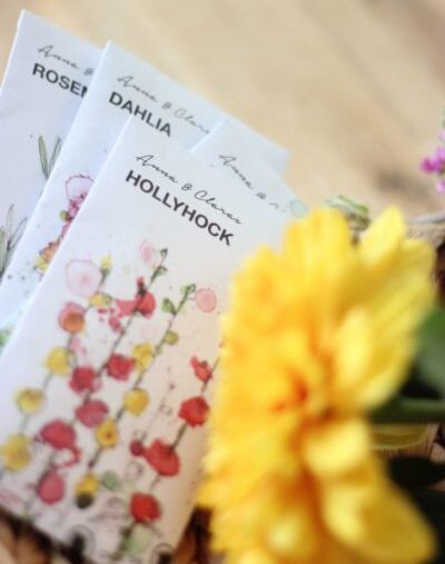 sachet de graines à semer