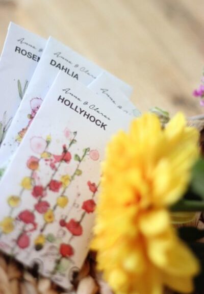 sachet de graines à semer