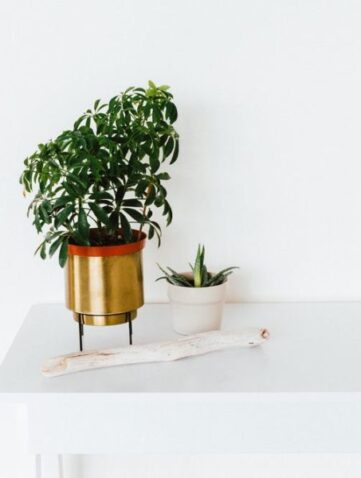 3 tendances déco repérées sur Instagram