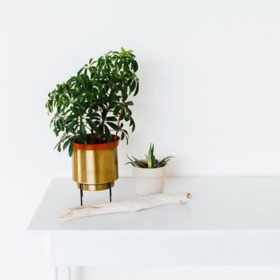 3 tendances déco repérées sur Instagram