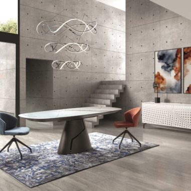 Salon, salle a manger