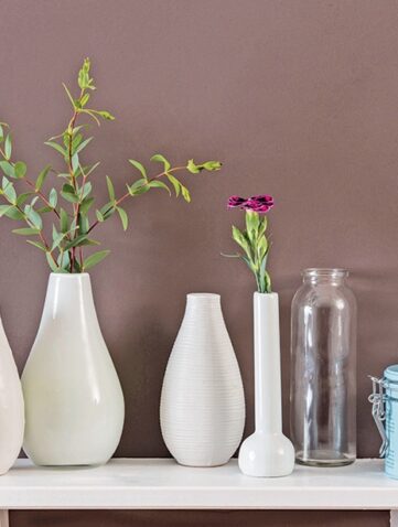 peinture écologique Auro