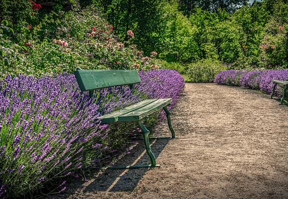 banc de jardin