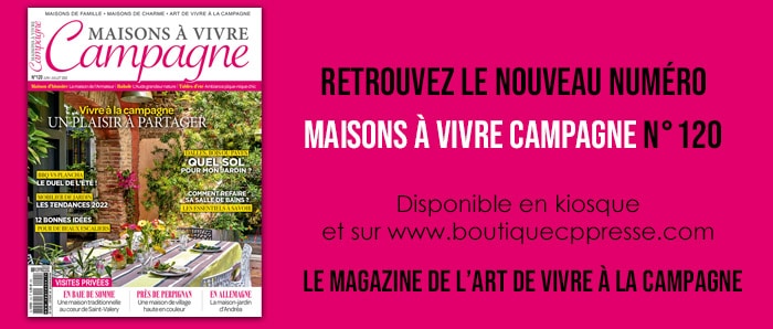 template annonce magazine
