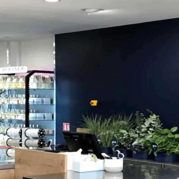 Monceau Fleurs magasin