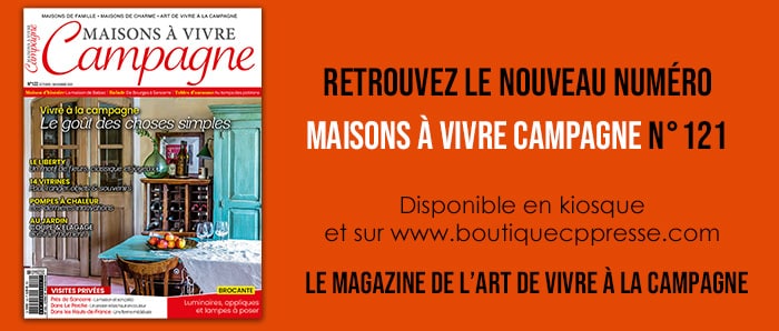 template annonce magazine