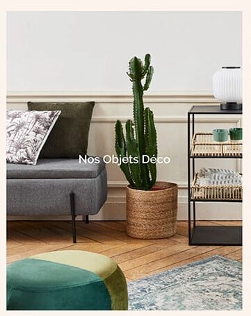 Potiron Paris produits