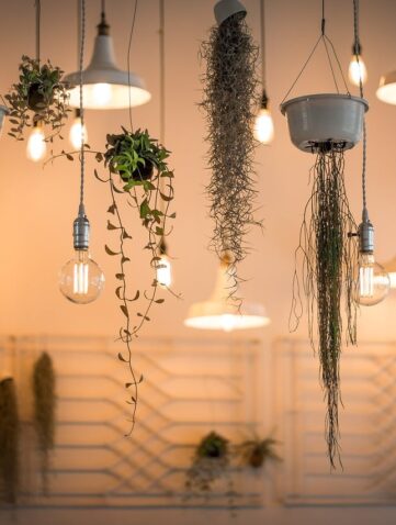 Décoration nordique