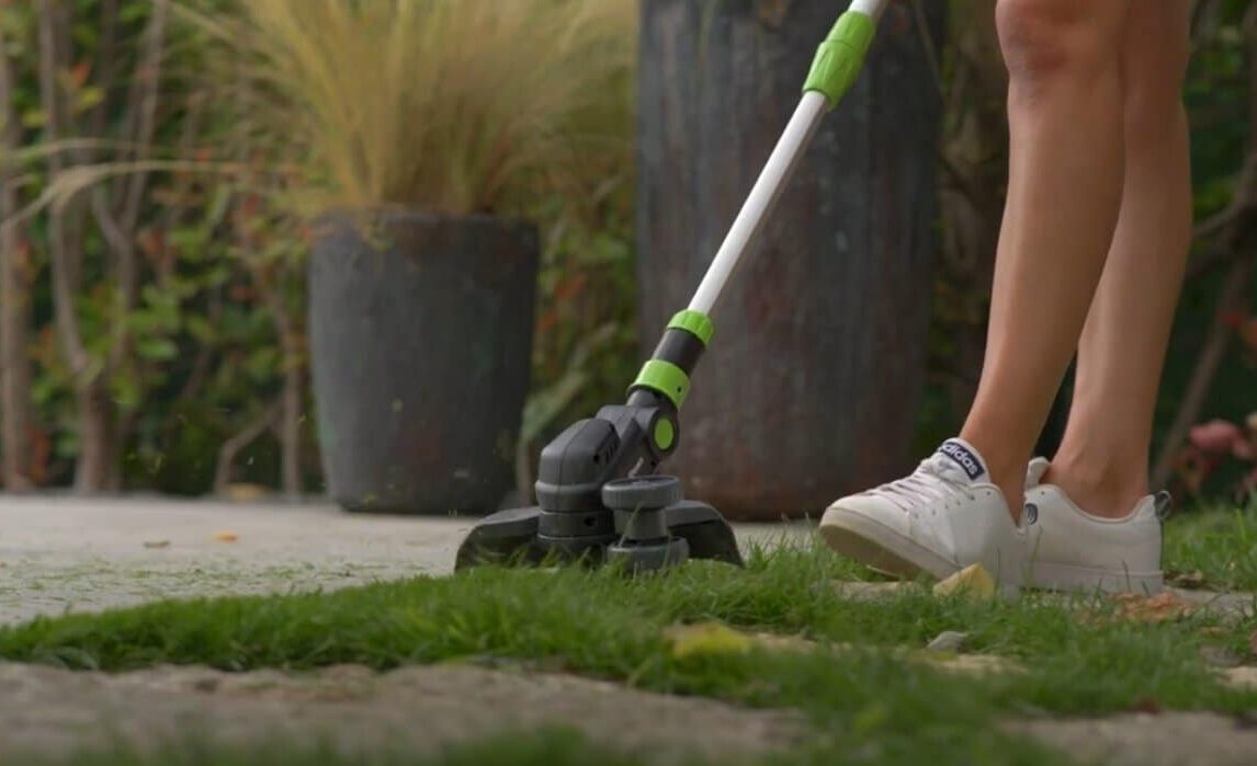 Ribimex coupe bordure