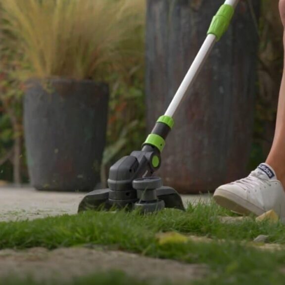 Ribimex coupe bordure