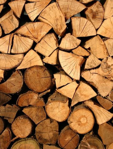 maisons en bois