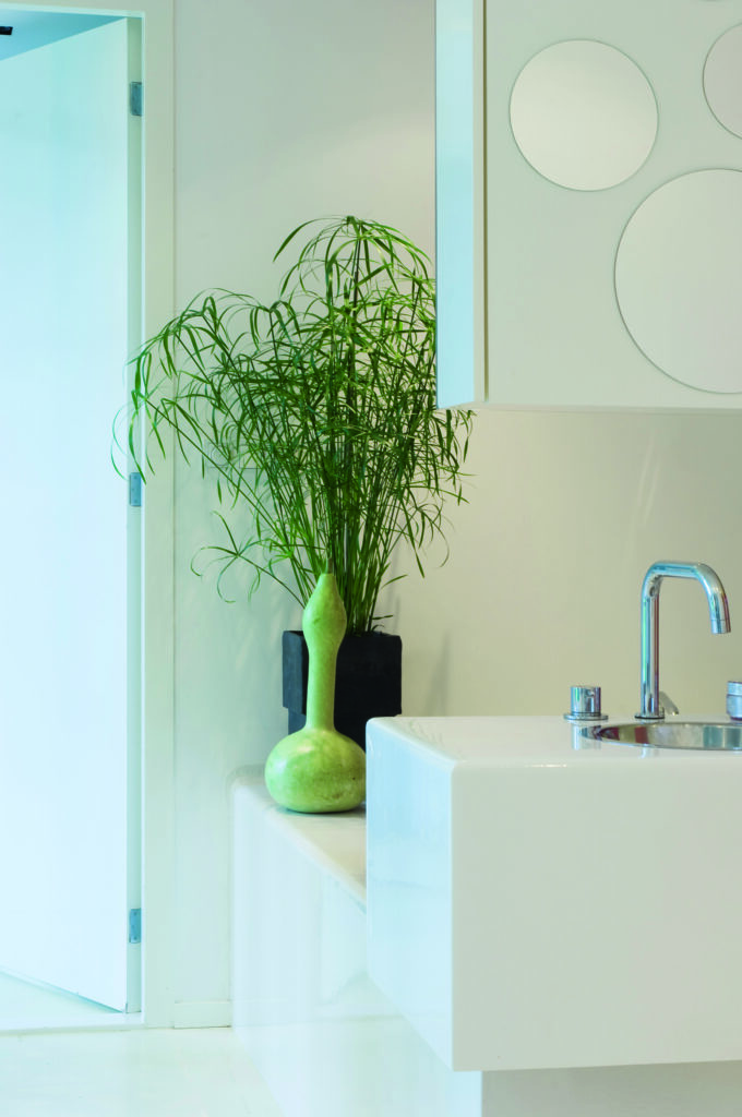plante en pot dans une salle de bain moderne décoration végétale