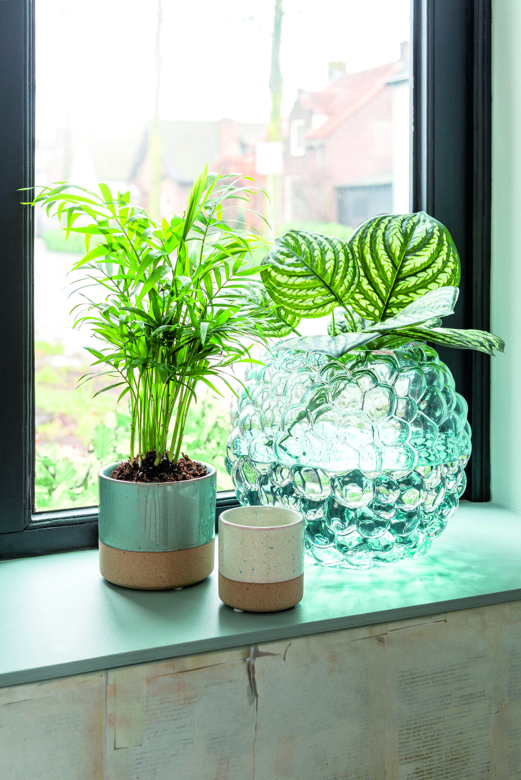 plantes en pots sur rebord de fenêtre avec lumière naturelle décoration intérieure