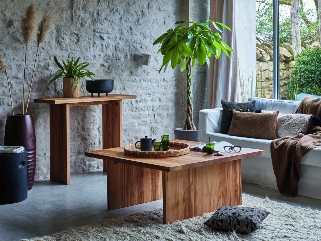 salon avec mobilier en bois et plantes d’intérieur dans une décoration naturelle et chaleureuse
