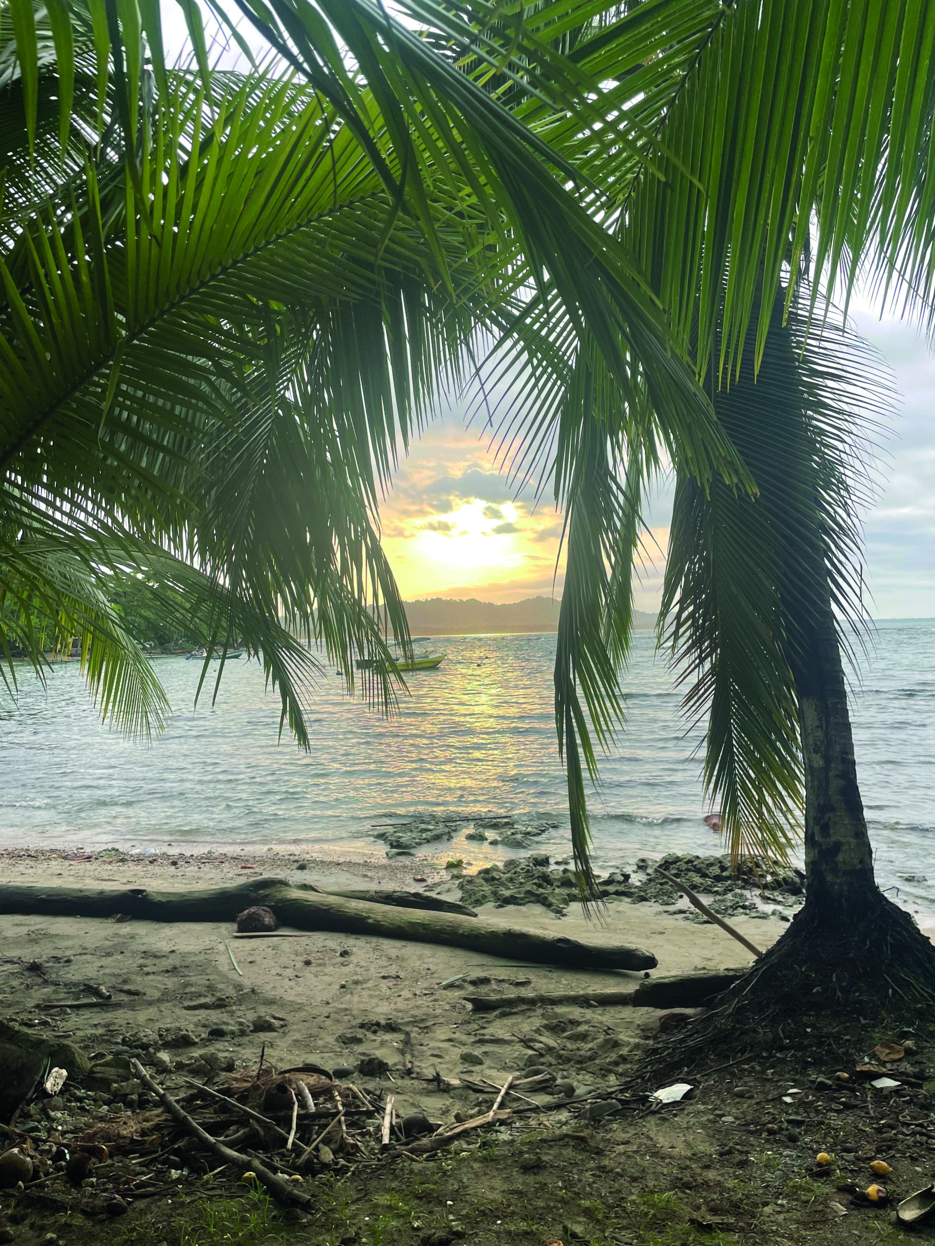 plage du Costa Rica au coucher de soleil avec palmiers
