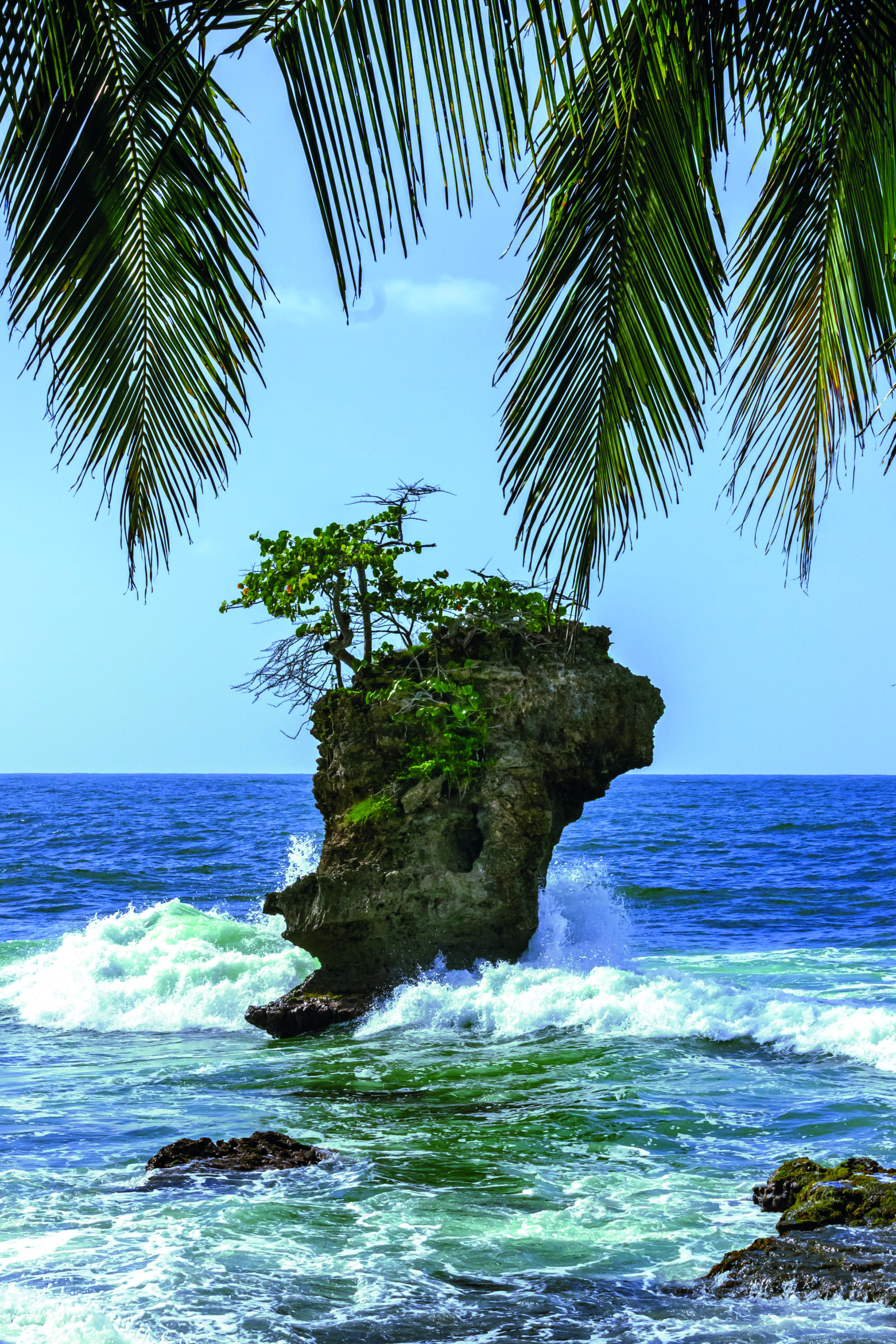 formation rocheuse dans l ocean sur la cote caraibe du Costa Rica