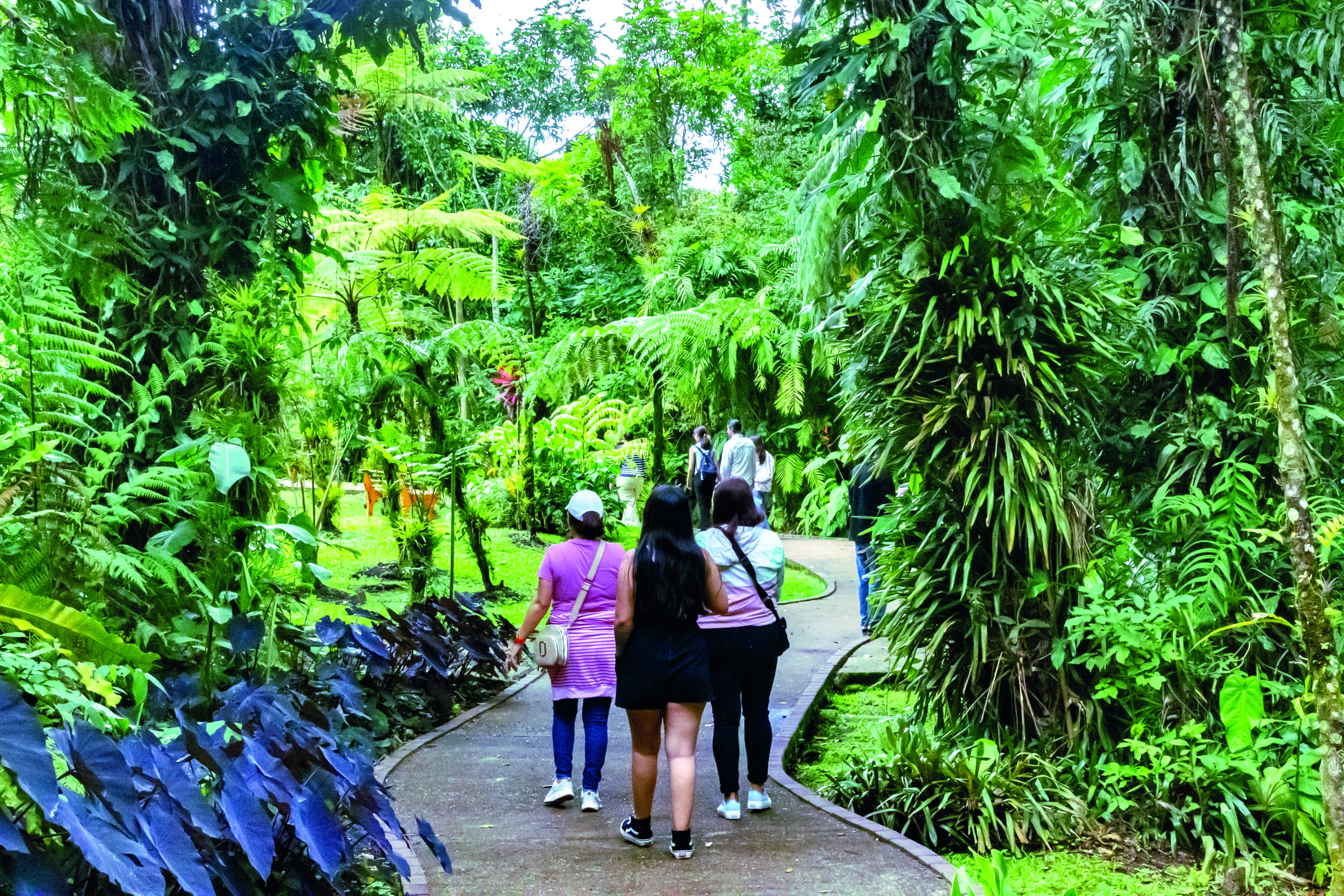 allee dans un jardin tropical luxuriant au Costa Rica avec visiteurs