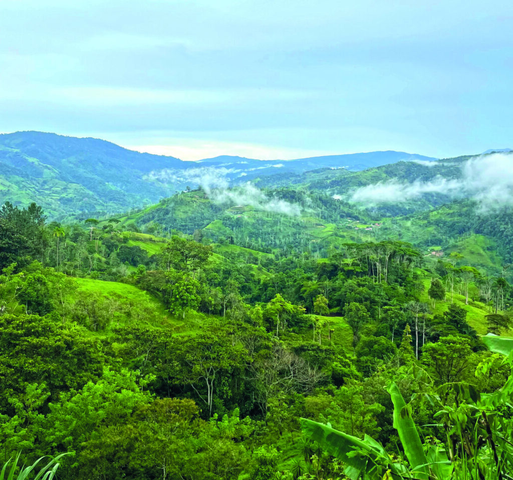 paysage de collines verdoyantes et foret tropicale au Costa Rica avec brume