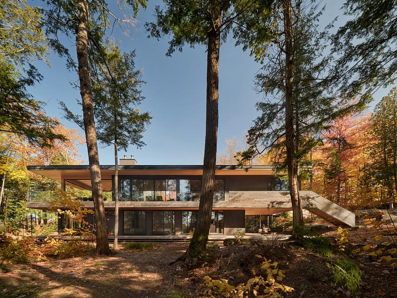 Maison en bois contemporaine en pleine nature avec façade minimaliste et intégration dans un environnement forestier