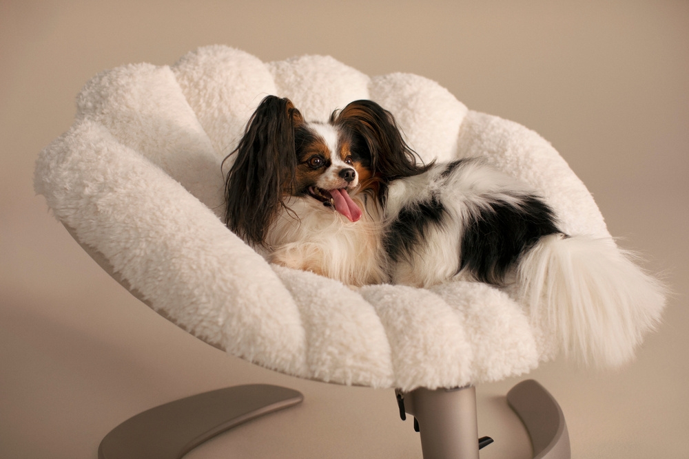 Shell™ Tavo Pets