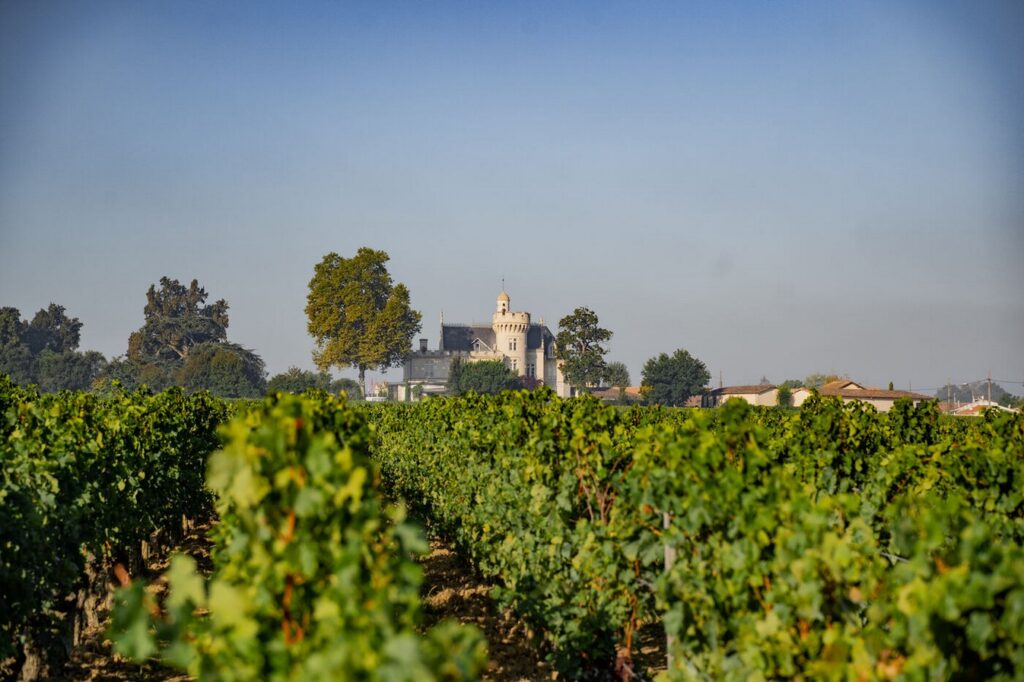 Vignoble du Château Pape Clément en plein cœur de l'agglomération bordelaise