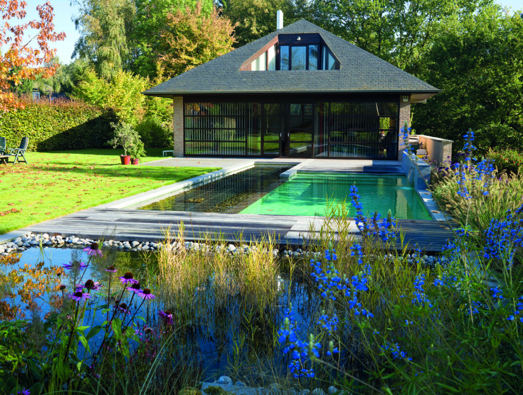 Baignade naturelle au design contemporain près d'une maison d'architecte