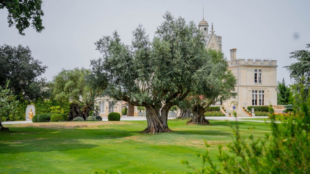 Parc du Château Pape Clément avec ses oliviers centenaires