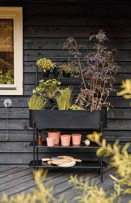 Jardinière noire sur pieds plantée de graminées, d'heuchères et d'un arbuste pourpre, pots en terre cuite sur l'étagère