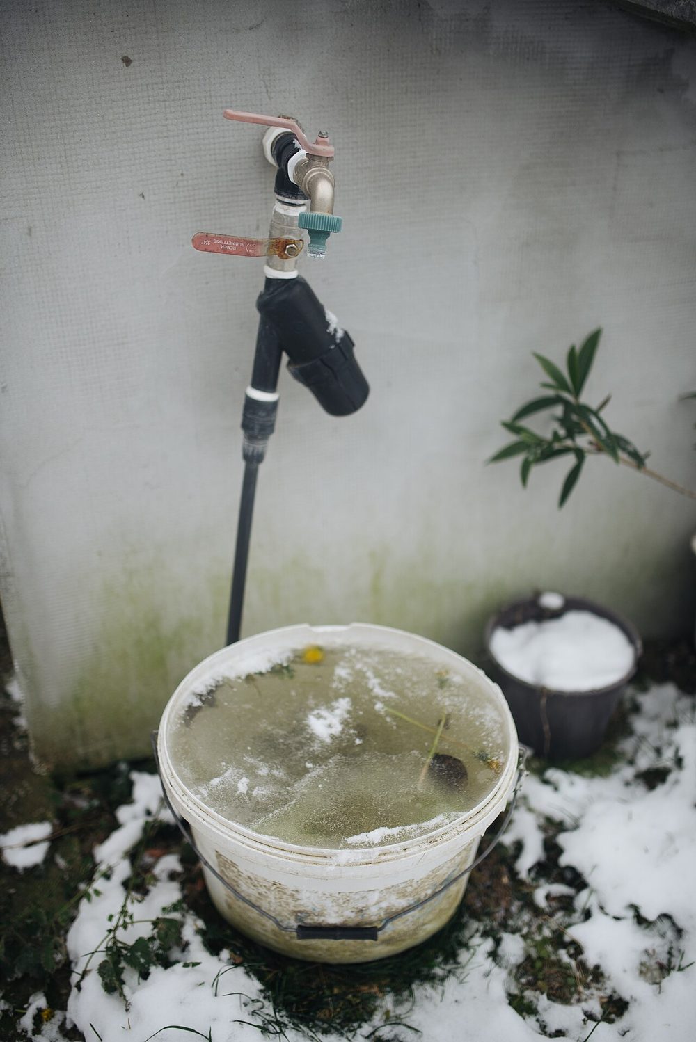 Robinet de jardin et vanne d'arrêt à poignée rouge sur un mur, au-dessus d'un seau d'eau gelée dans un jardin enneigé